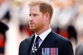 One Royal Is Still ‘Very Angry’ With Prince Harry Over His Actions — Author