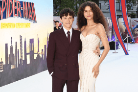 Zendaya and Tom Holland Celebrate Their Wedding With Private Countryside Party — Report