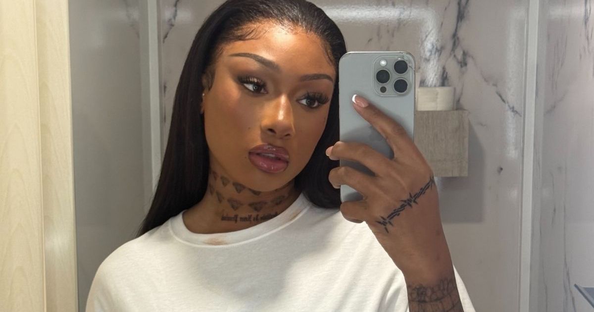 Megan Thee Stallion Pairs See-Through Lace & Lush Bra With…