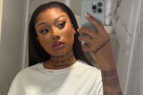 Megan Thee Stallion Flaunts Her Curves in Ultra Plunging Babyboo Bralette