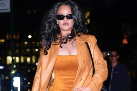 Rihanna Shows off Every Curve in Sultry See-Through Lingerie