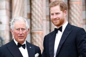 King Charles Might Invite Prince Harry for Christmas but Under One Condition — Former Butler
