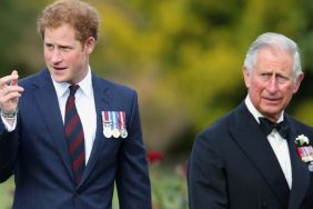Prince Harry’s UK Return Reveals King Charles’ Calculated Royal Game Plan — Insider