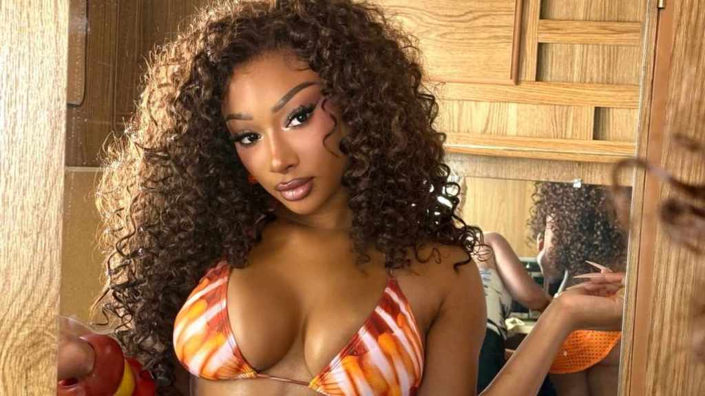 Megan Thee Stallion's Bra Top & Micro Miniskirt Are Fully See-Through