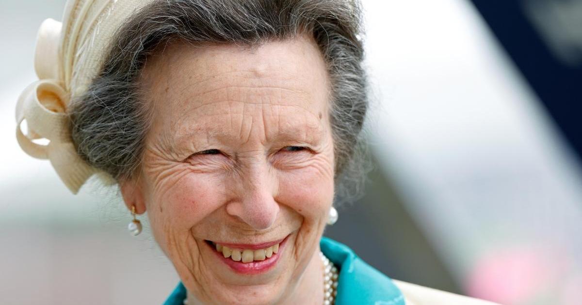 Princess Anne Is ‘Amazing’ in Her Brand New Role — Source