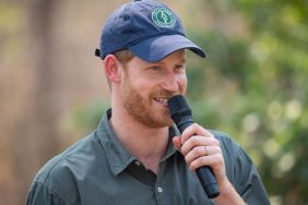 Prince Harry Steps Down From Major Role Ahead of UK Return