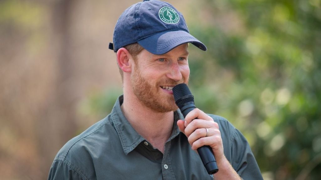 Prince Harry Steps Down From Major Role Ahead of UK Return