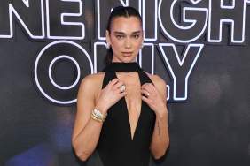 Dua Lipa's Plunging Ferragamo Gown Also Dips Dangerously Low at the Back