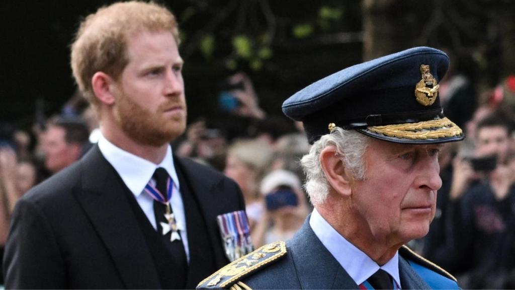 Prince Harry Is 'Desperate' To Get Pictured Beside King Charles — Expert