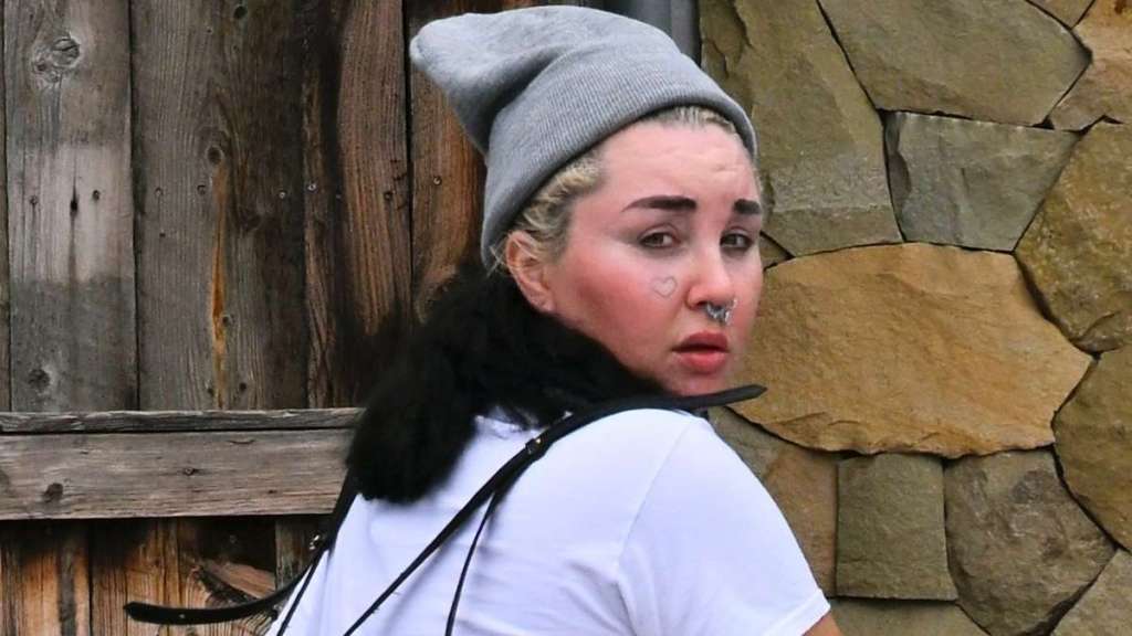 Amanda Bynes Faces Backlash After Hayden Panettiere Reaction