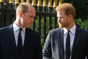 Prince Harry Could Get His Reunion With Prince William, but There’s a Catch — Expert