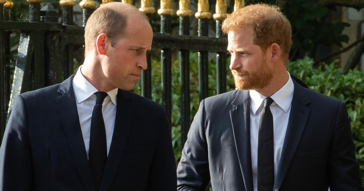 Prince Harry Could Get His Reunion With Prince William, but There's a Catch - Expert