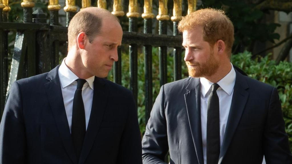 Prince Harry Could Get His Reunion With Prince William, but There’s a Catch — Expert