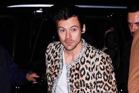 Harry Styles Rethinks Future Touring: ‘Not Going to Do This Forever’