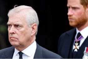 Ex-Prince Andrew's Reaction to Prince Harry's UK Return Is Very Telling — Source