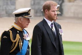 Prince Harry's Reunion With King Charles Came With a 'Glorified NDA' — Source