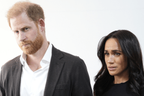 Divide & Rule Author Blames Prince Harry and Meghan Markle for the Crown's Crisis