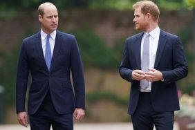 Prince William Bites His Tongue as Prince Harry Grabs Headlines — Expert