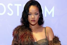 Rihanna's Plunging See-Through Savage x Fenty Teddy Is Ultra High-Cut