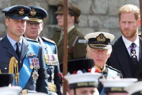 King Charles’ Wish For Harry & William Could Change Royal Family Dynamics — Source