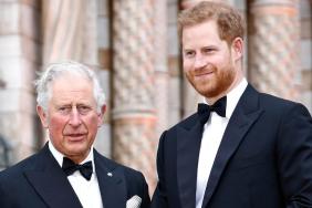 Prince Harry’s ‘Wasp’ Rival May Still Have Influence Over King Charles — Experts