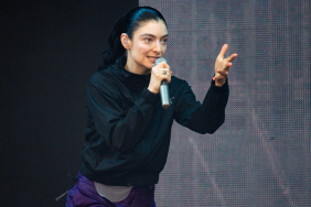 Lorde Stops Performance After Fans Collapse at Lollapalooza