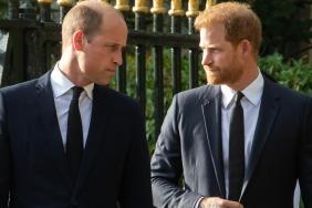 Prince William 'Loathed' One Childhood Link With Prince Harry — Report
