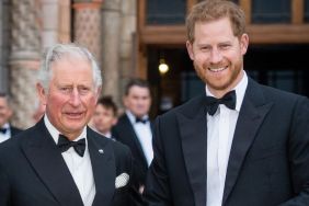 Prince Harry's 'Tactless' King Charles Comment Resurfaces Amid Rumors — Report
