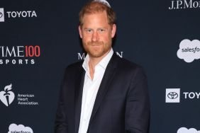 Prince Harry Accused of Trying To ‘Burn Down’ the Royal Family — Report
