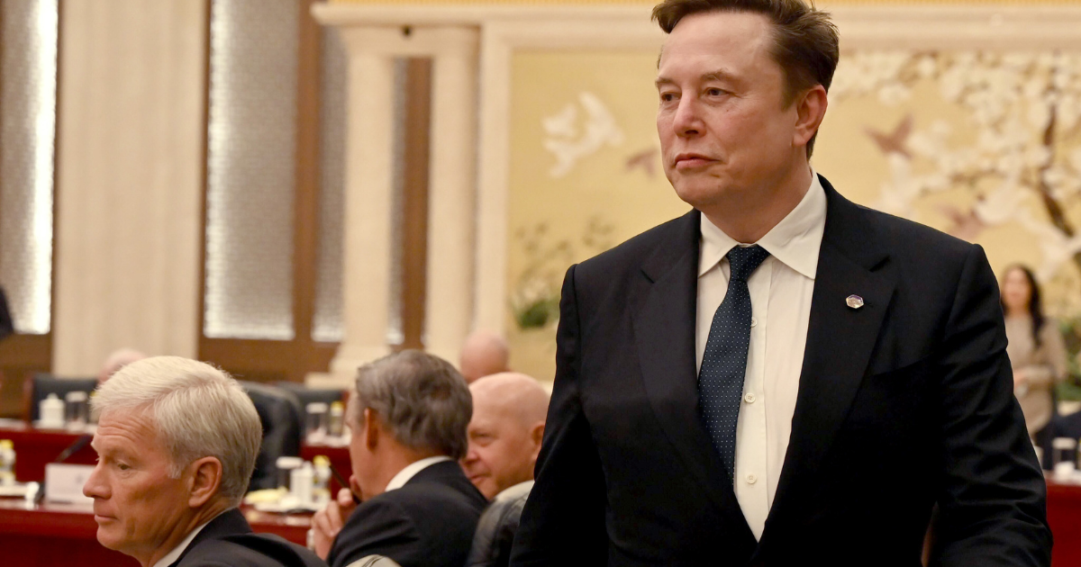 Elon Musk Get ‘Sad Little B—tch’ Monument Courtesy of…