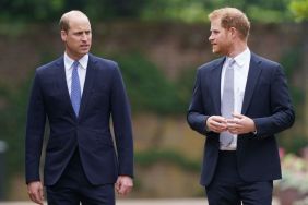 Prince William Won’t Let One Photo Erase His Bitter Prince Harry Feud — Insider