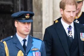 Prince Harry & Prince William Could Be Closer to a Reunion — Source