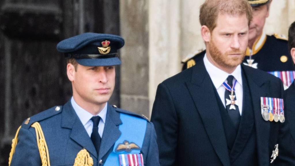 Prince Harry & Prince William Could Be Closer to a Reunion — Source
