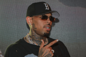 Chris Brown amid his legal battle over the $12.9 million dog-bite verdict