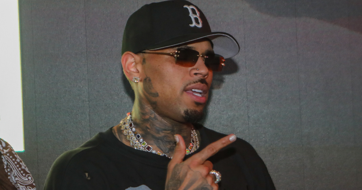 Chris Brown Seeks New Trial in Dog-Bite Case, Citing Rihanna Talks
