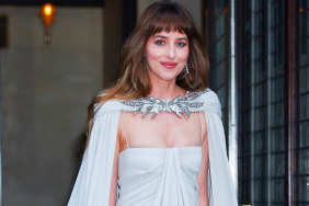 Dakota Johnson amid reports that she and Role Model have ended their relationship