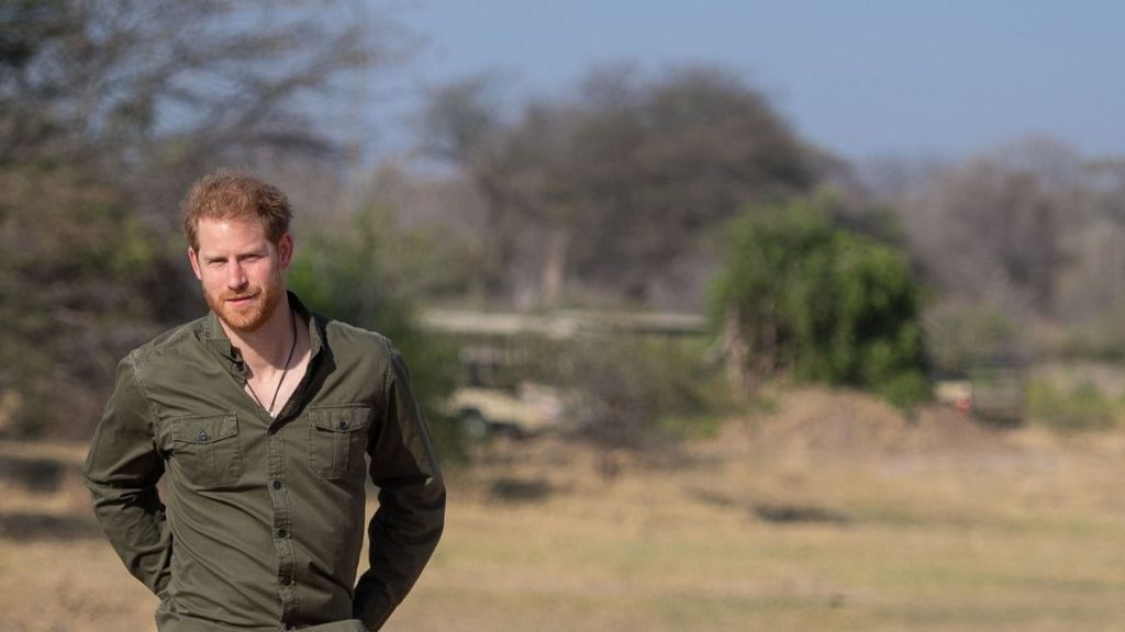 Prince Harry Isn’t Completely Walking Away From Troubled Charity — Insider