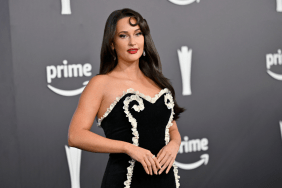 Kacey Musgraves amid news of her support for immigrant children during her Chicago concert