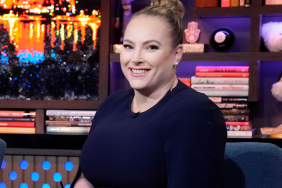 Meghan McCain faces criticism in reports about her time on The View