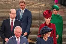 Prince Harry’s Return Does the Unthinkable, Puts Queen Camilla & Kate Middleton on Same Side — Expert