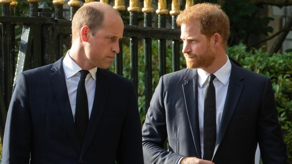One Royal Member Wants Prince Harry & Prince William to 'Grow Up' — Report