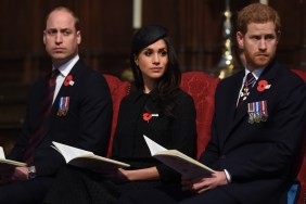 prince william