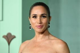 Meghan Markle Helped Sarah Ferguson Break Cover With One Sneaky Move — Author