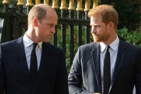 Prince William Won’t Be Taken in by Prince Harry’s ‘Manipulations’ — Source