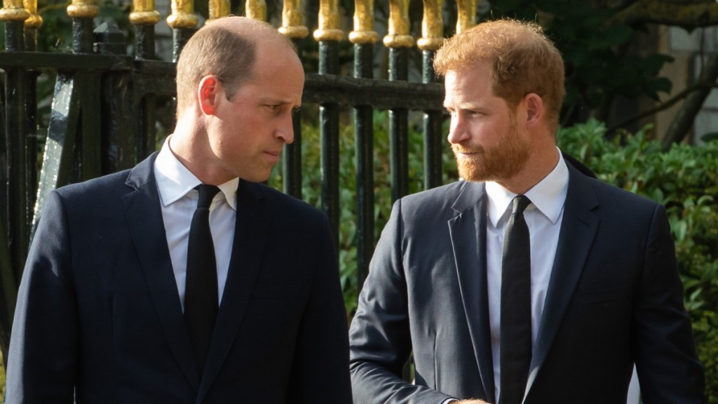 Prince William Won’t Be Taken in by Prince Harry’s ‘Manipulations’ — Source