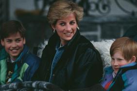 Princess Diana Would Hate What Happened to Prince William & Prince Harry — Ex-Royal Butler