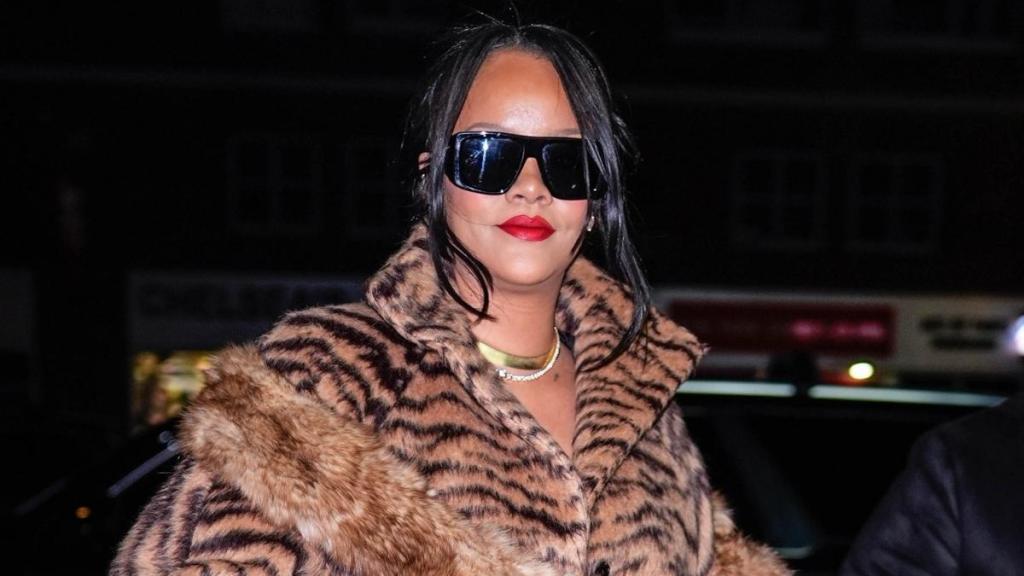 Rihanna’s Plunging Leopard-Print Lingerie Rides High Enough To Graze Her Curves