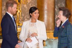 Princess Anne Could Be Meghan & Harry's Unexpected Royal Ally — Expert