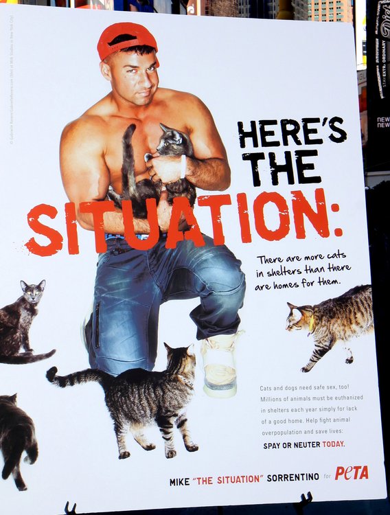 the situation peta 111012